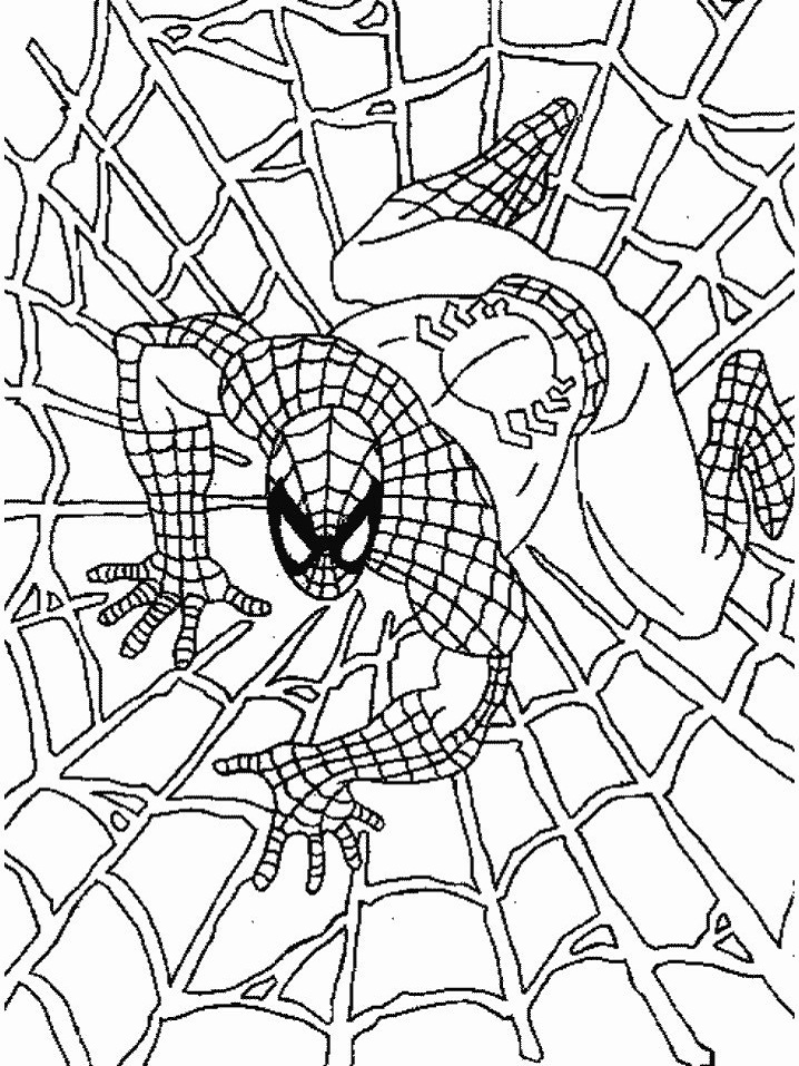 Раскраска Человек-паук на паутине 2