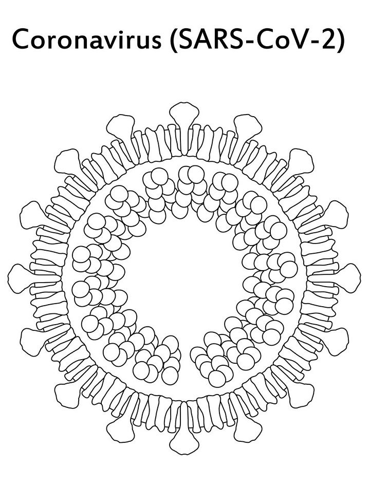 Раскраска коронавирус 2