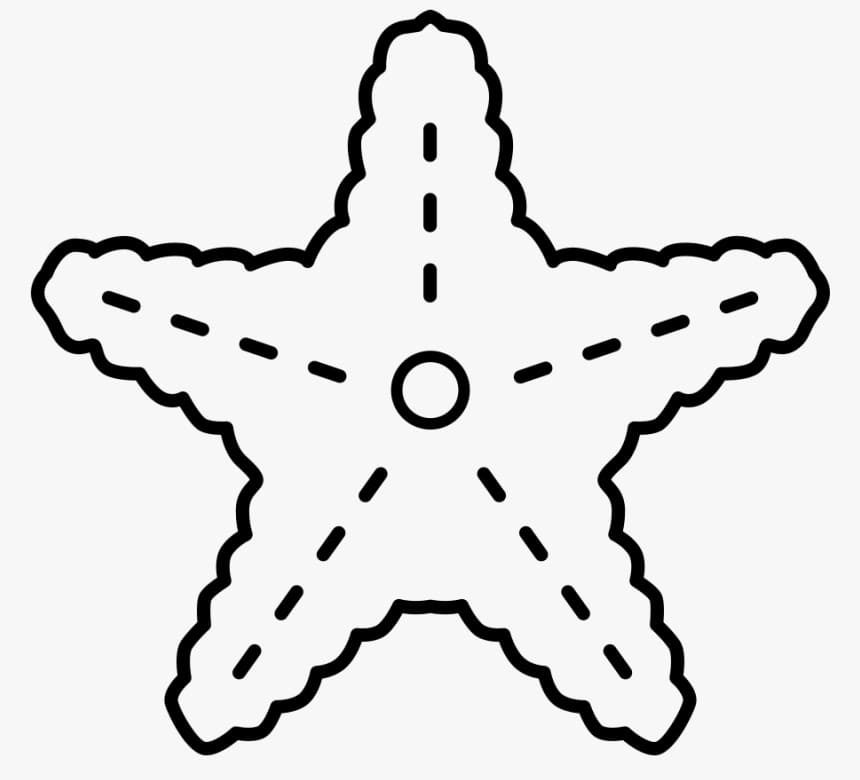Раскраска морская звезда 2