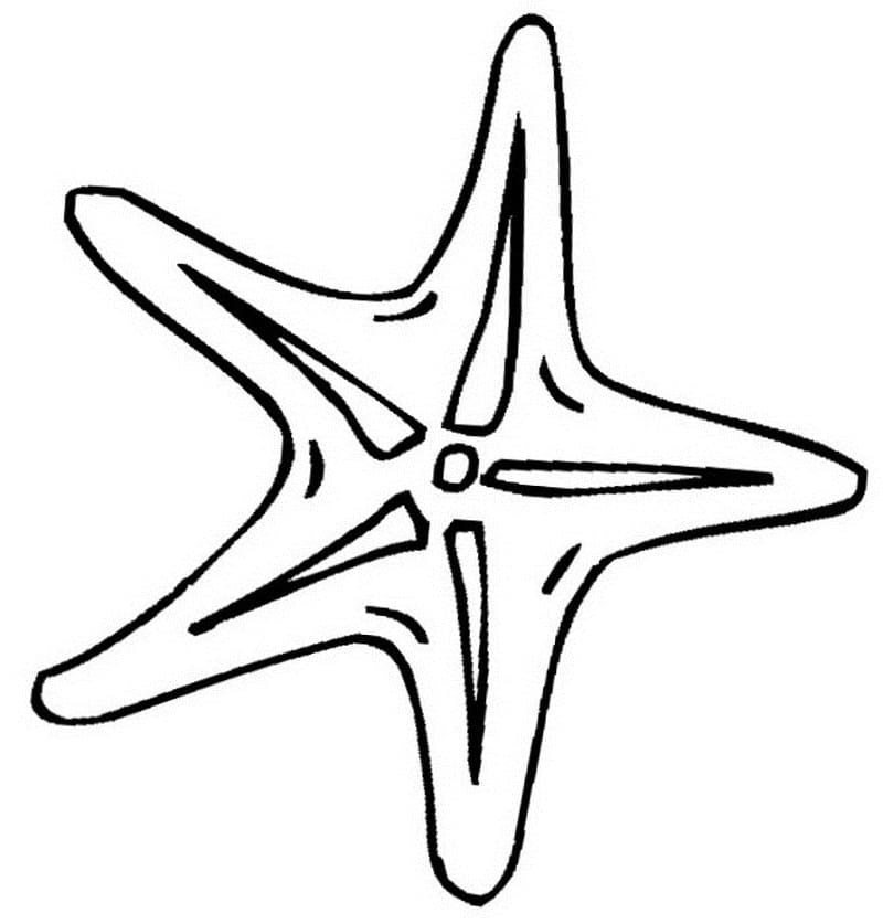 Раскраска морская звезда 4