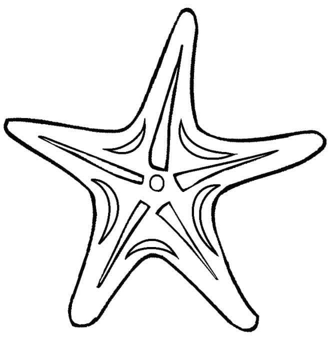 Раскраска морская звезда 5