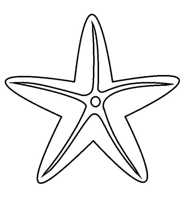 Раскраска морская звезда 6