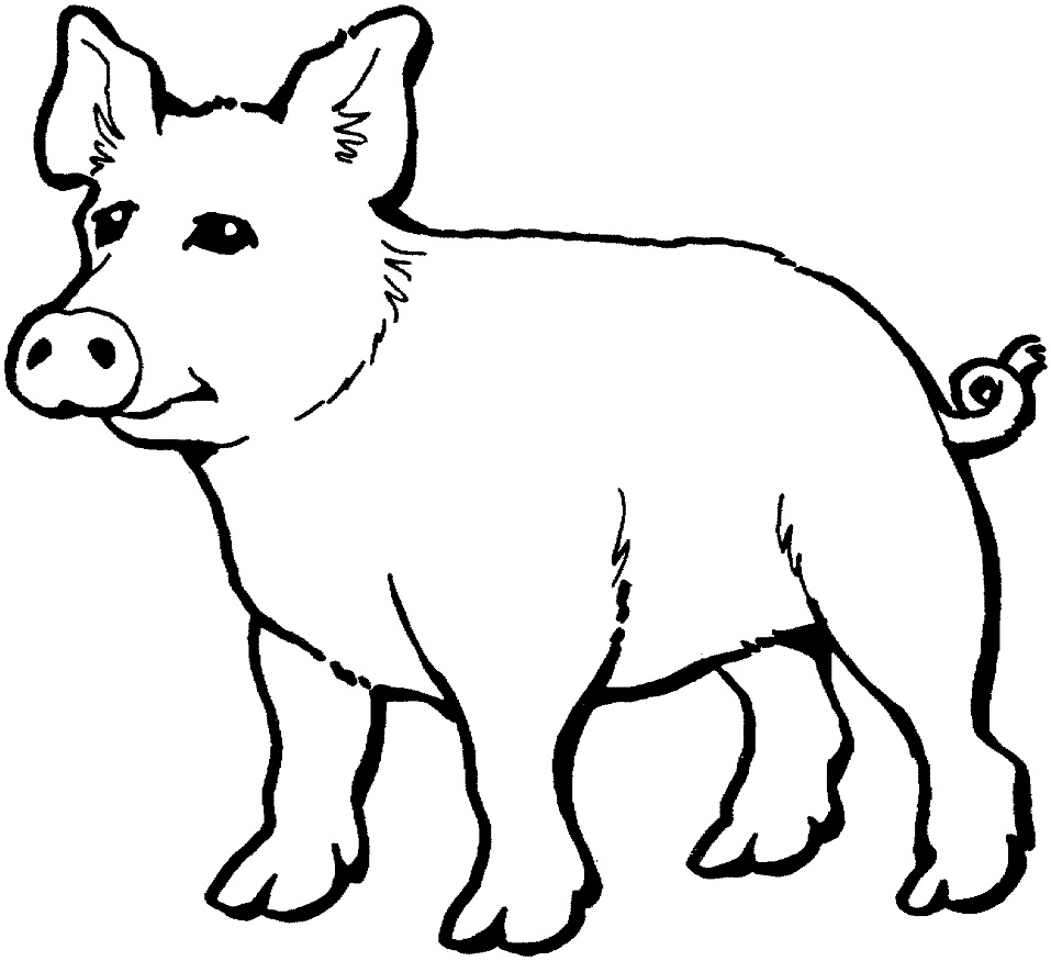 Раскраска Свинка