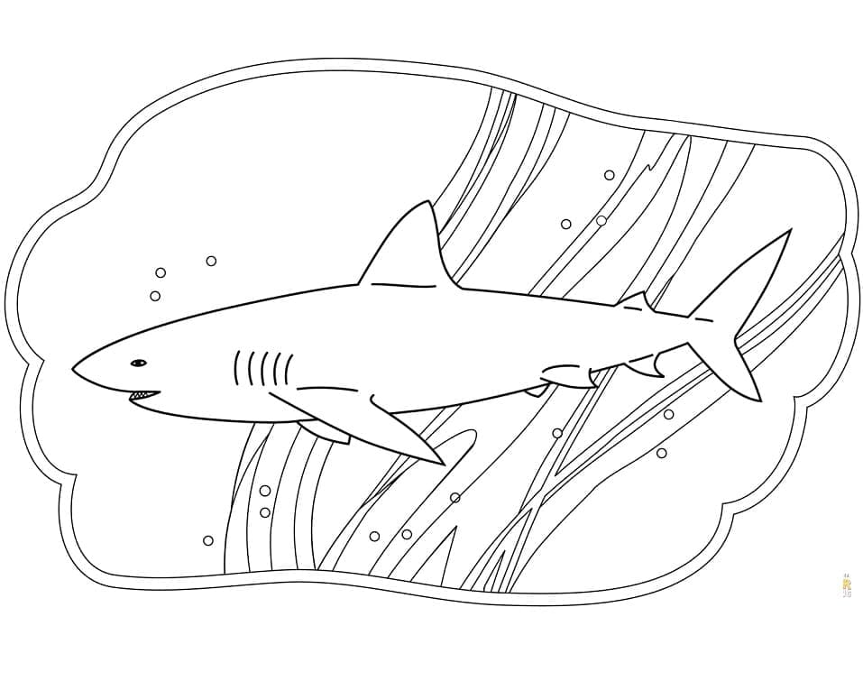 Раскраска Акула 2