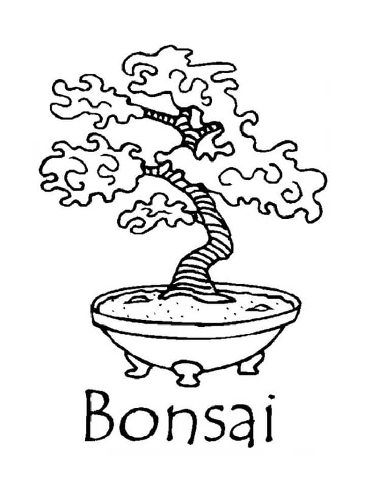 Раскраска бонсай дерево 4