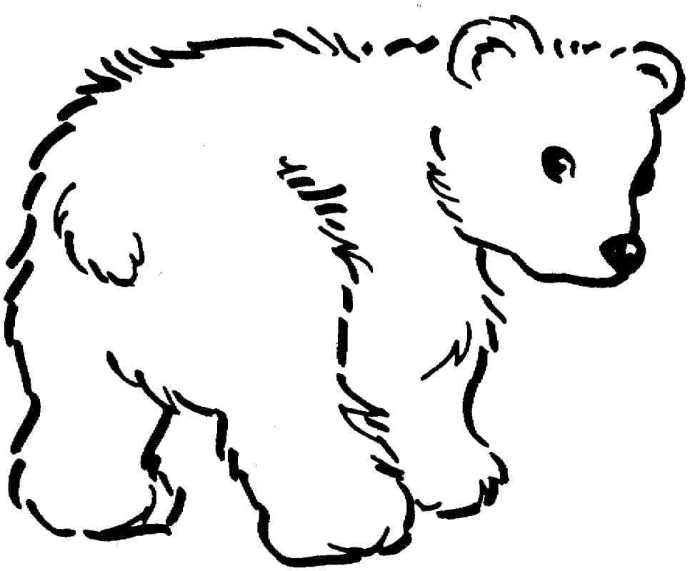 Раскраска Бурый медведь 13