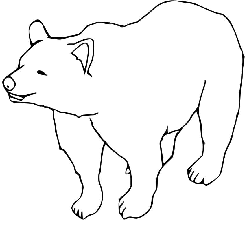 Раскраска Бурый медведь 2