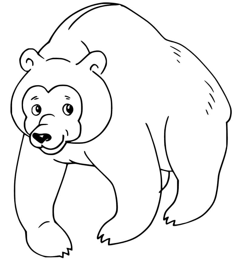 Раскраска Бурый медведь 3