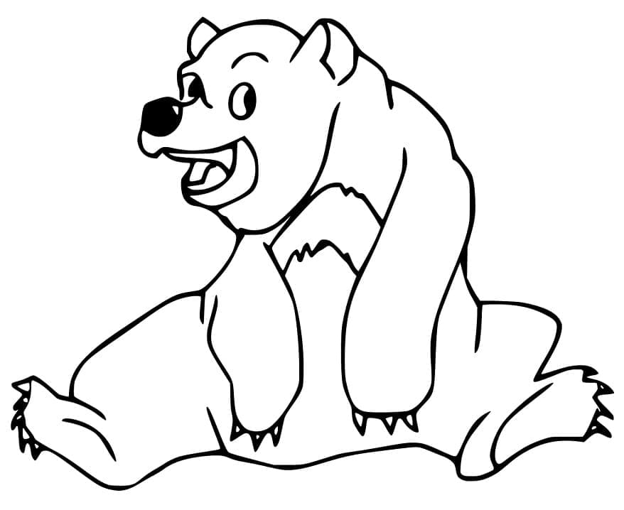 Раскраска Бурый медведь 4