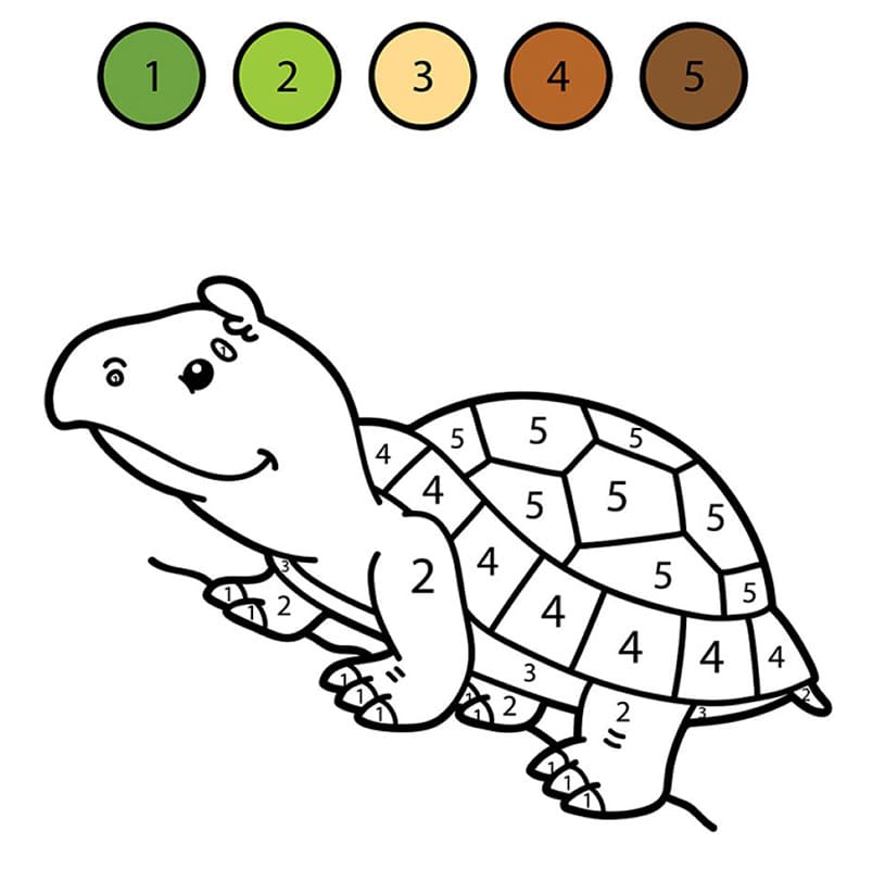 Раскраска Черепаха по цифрам