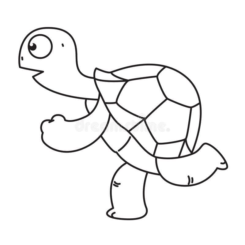 Раскраска Черепаха 3