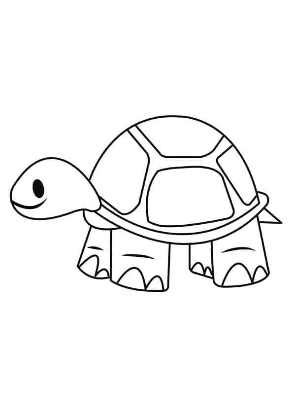 Раскраска Черепаха 4