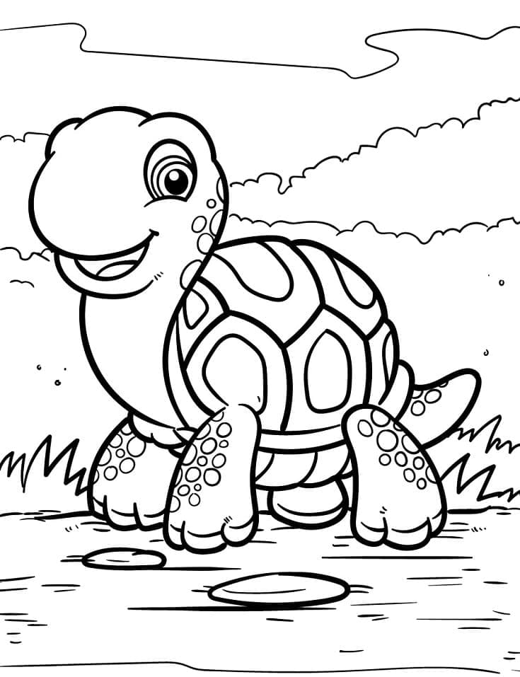 Раскраска Черепаха 5