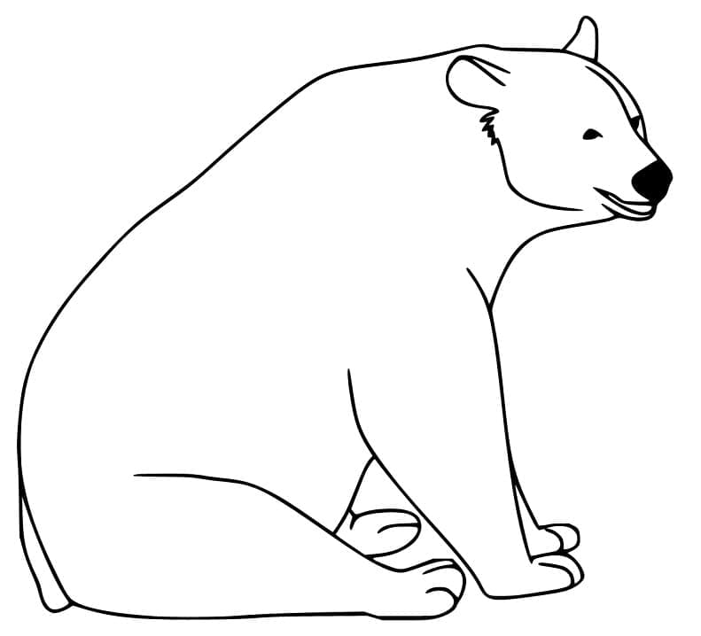 Раскраска Черный медведь 1