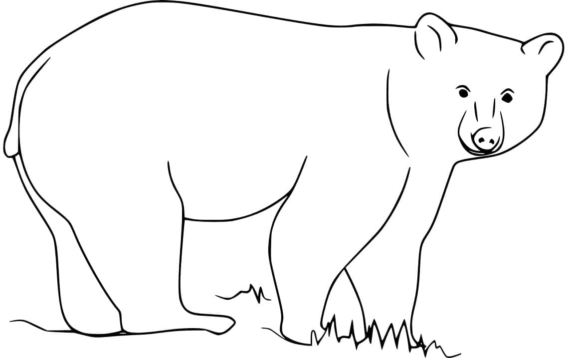 Раскраска Черный медведь 10
