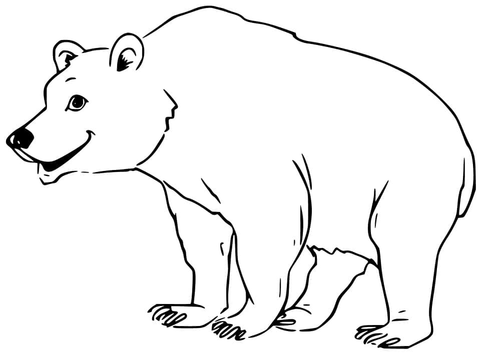 Раскраска Черный медведь 14