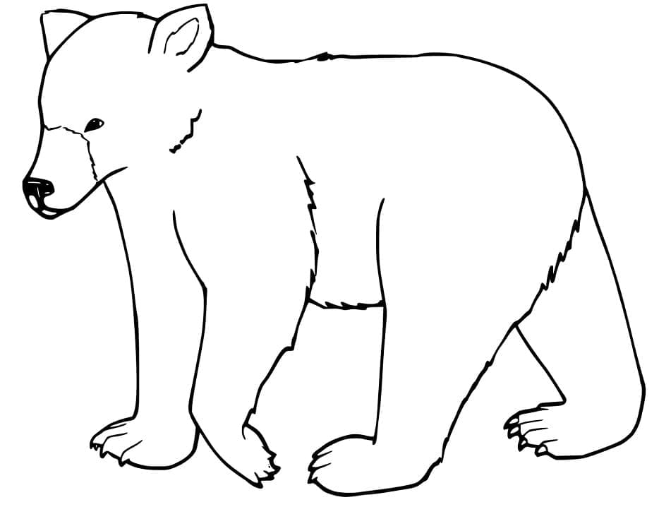 Раскраска Черный медведь 15