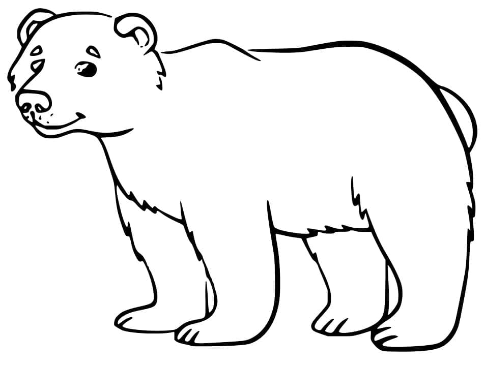 Раскраска Черный медведь 4