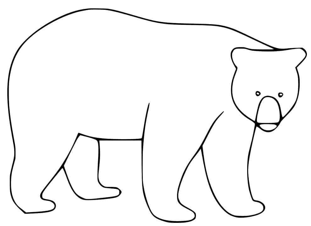 Раскраска Черный медведь