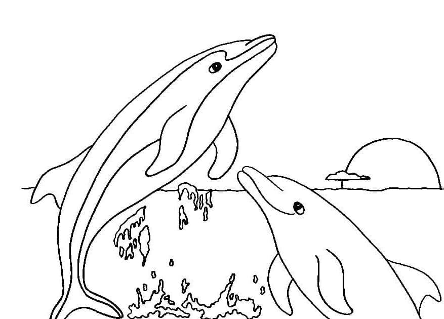 Раскраска Дельфины 1