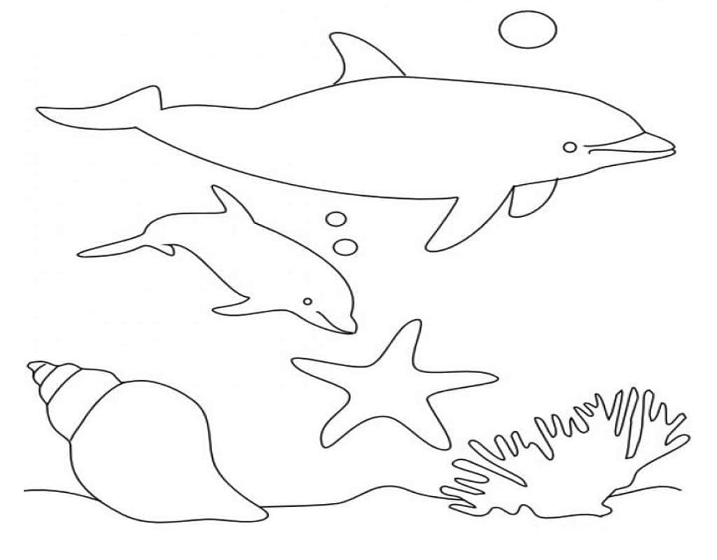 Раскраски морские обитатели Дельфин