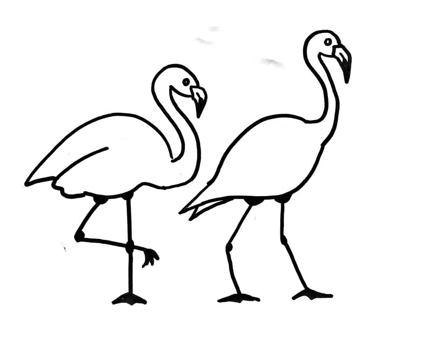 Раскраска два фламинго 1