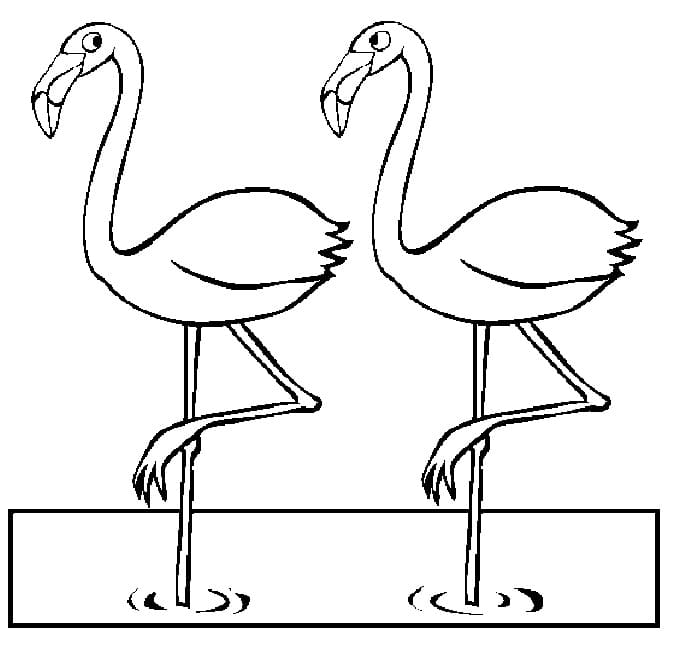 Раскраска два фламинго