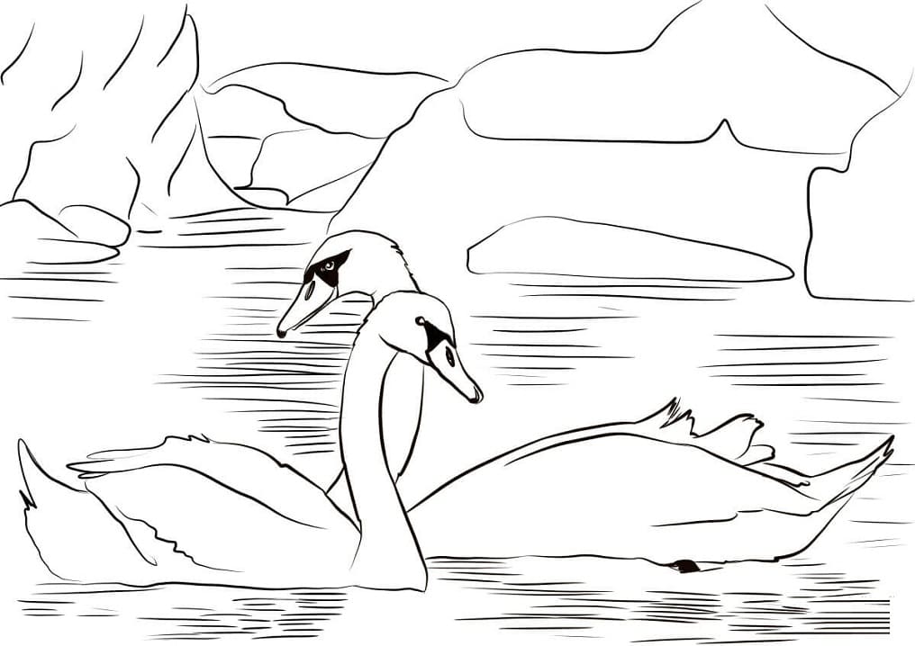 Раскраска Два лебедя