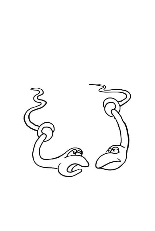 Раскраска Две змеи