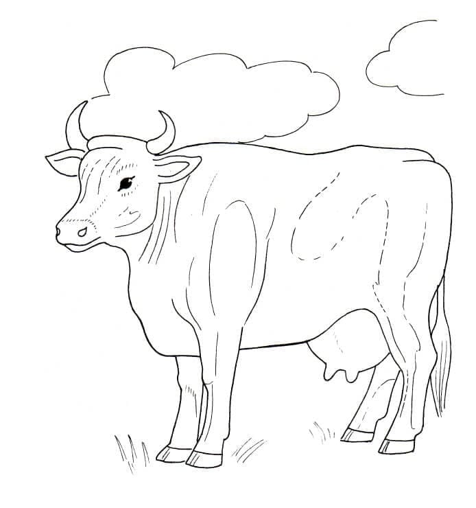 Раскраска Корова 12