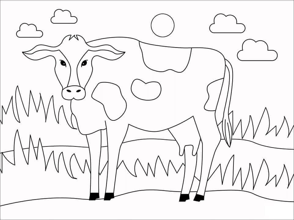 Раскраска Корова 13