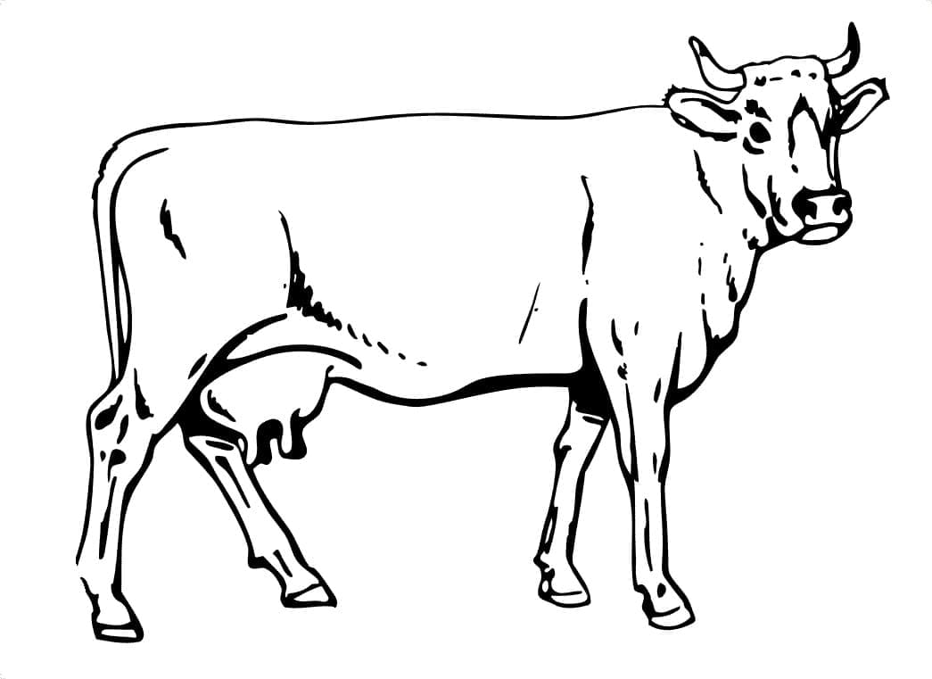 Раскраска Корова 2