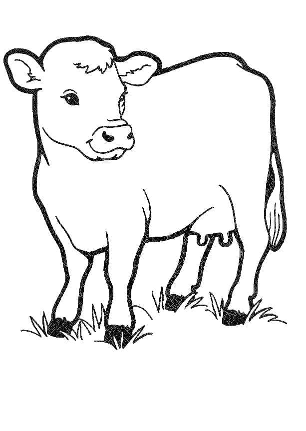 Раскраска Корова 4