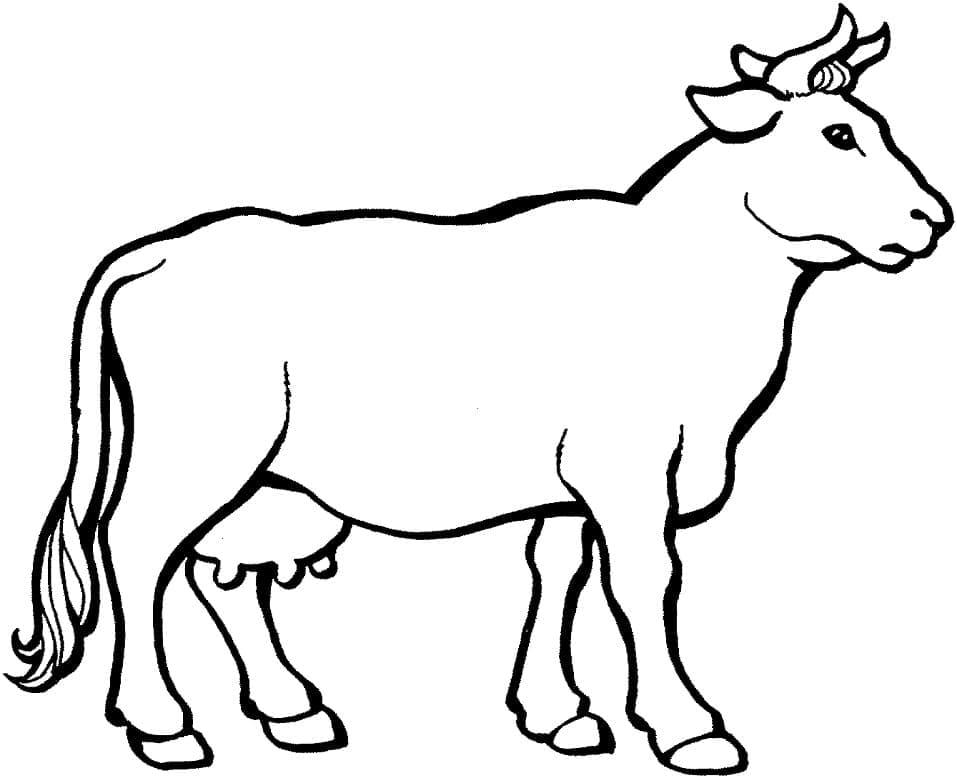Раскраска Корова 8
