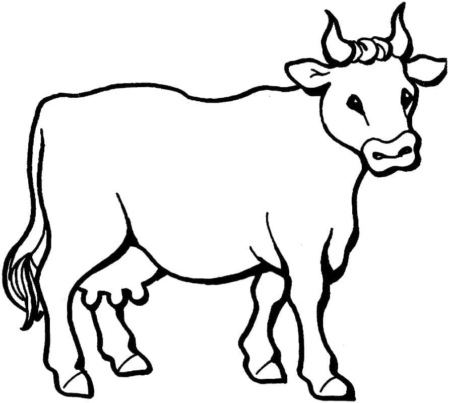 Раскраска Корова 9