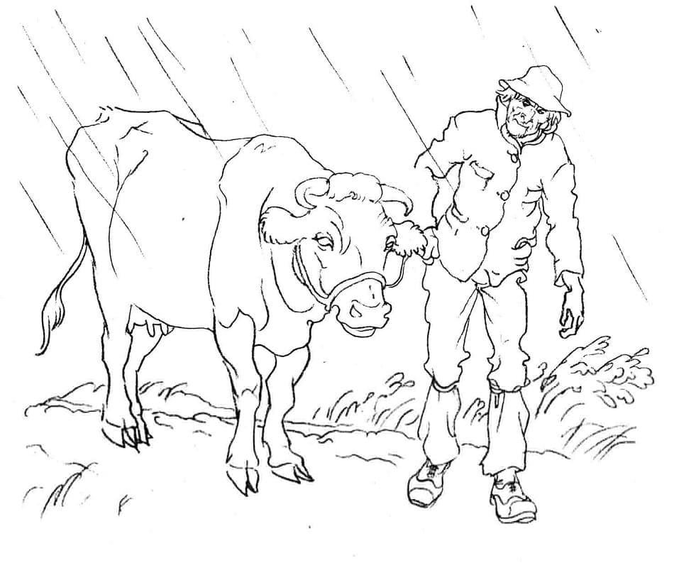 Раскраска Корова и мужчина