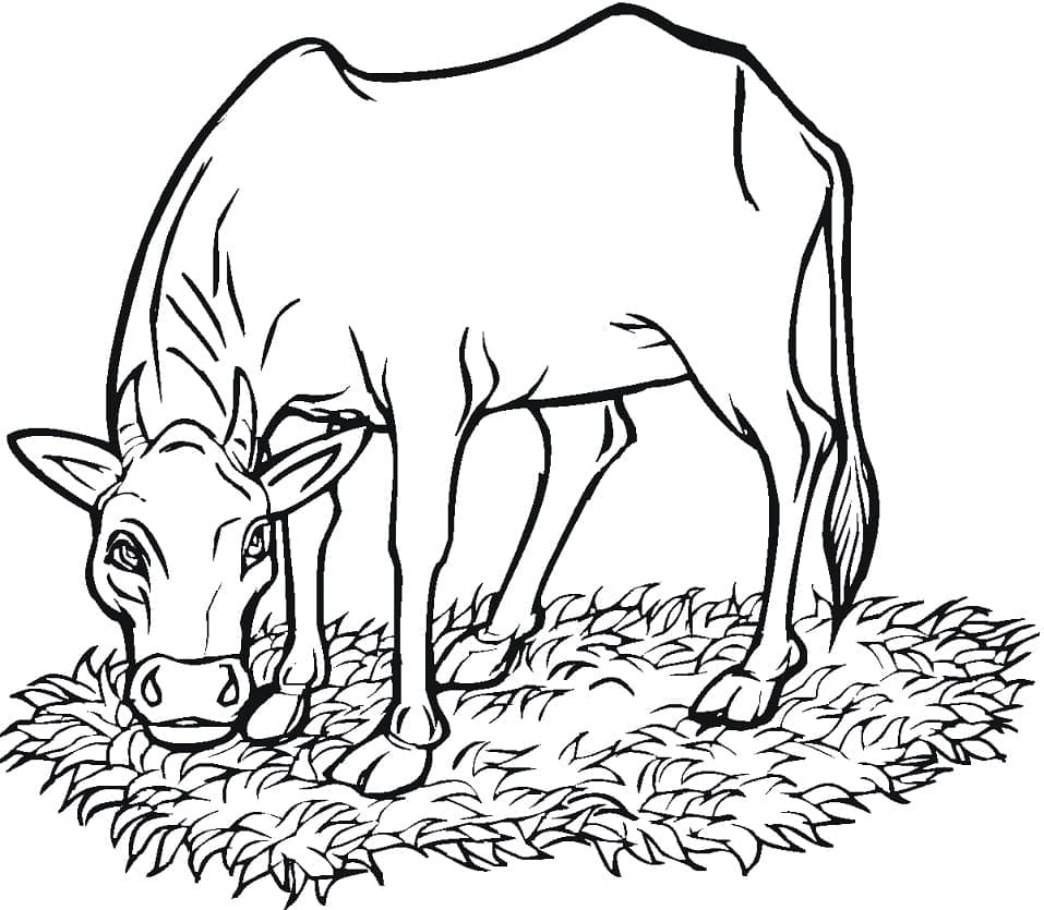 Раскраска Корова ест траву