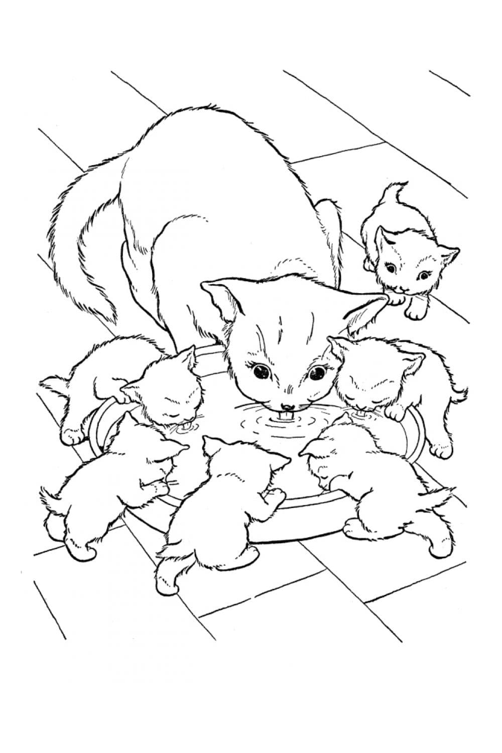 Раскраска Кошка и шесть котят