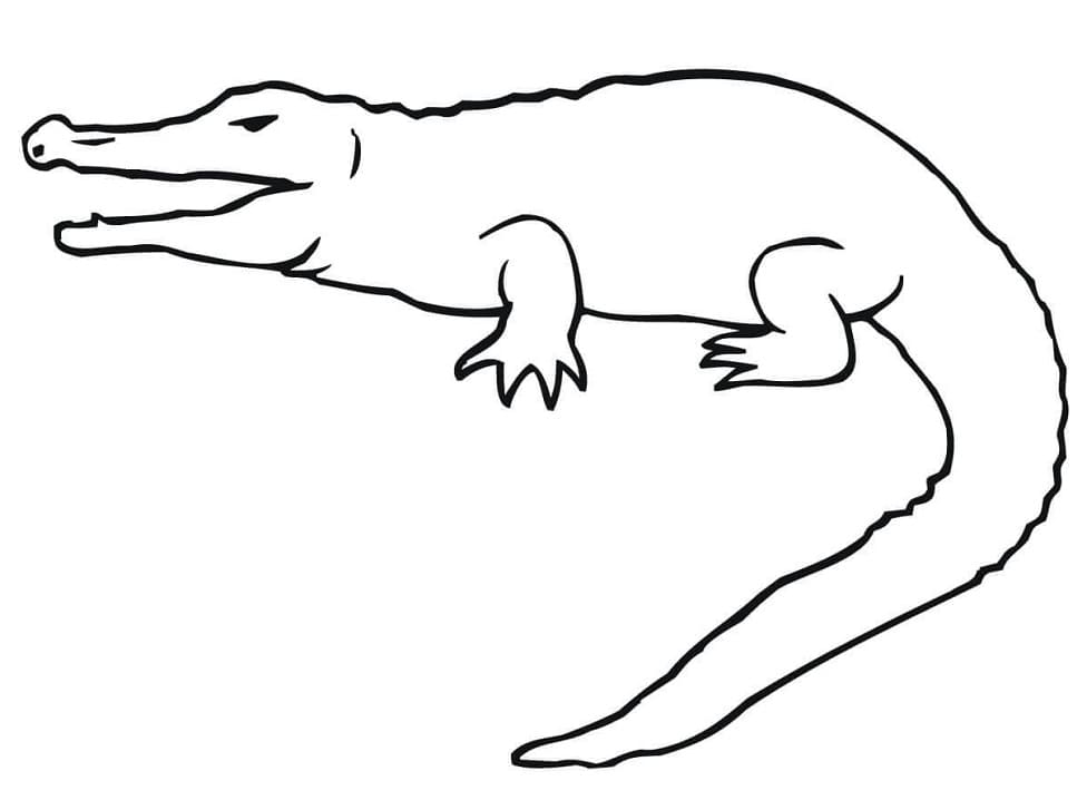 Раскраска Крокодил 1