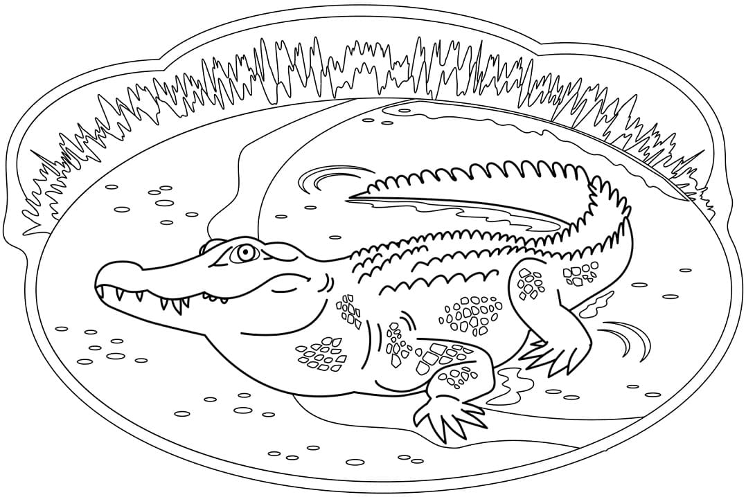 Раскраска Крокодил 17