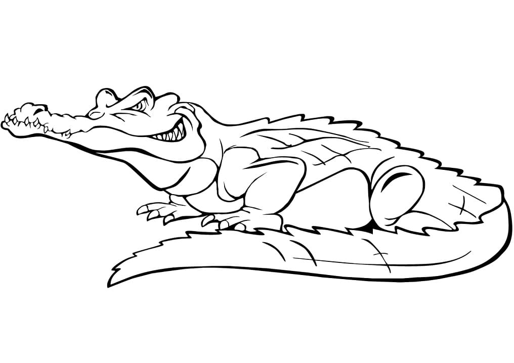 Раскраска Крокодил 23