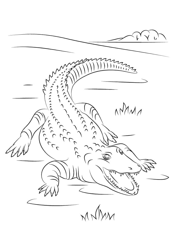 Раскраска Крокодил 7