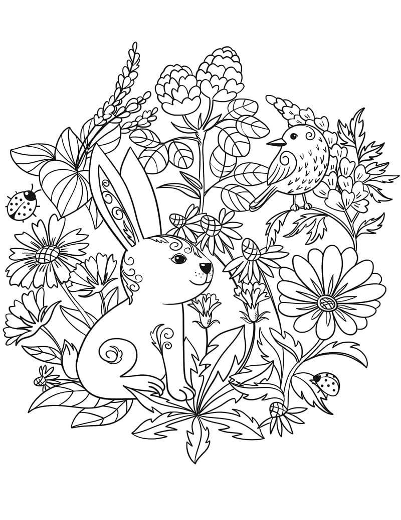 Раскраска Кролик 10