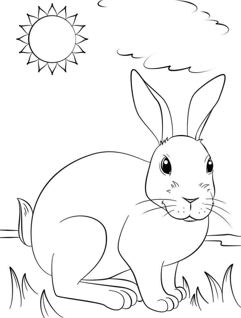 Раскраска Кролик 11