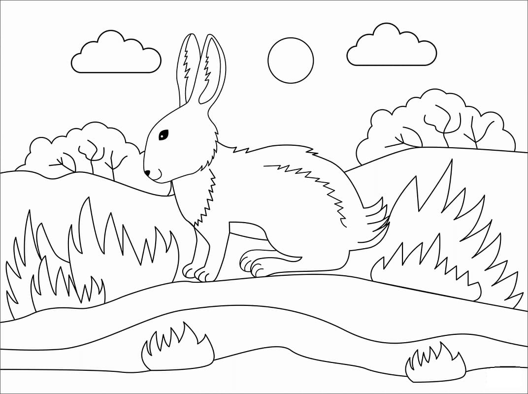 Раскраска Кролик 6