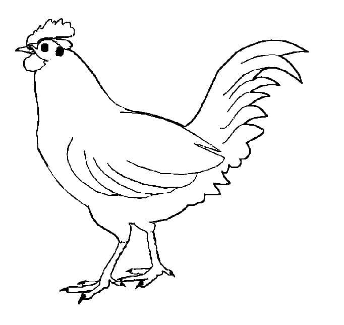 Раскраска Курица 15