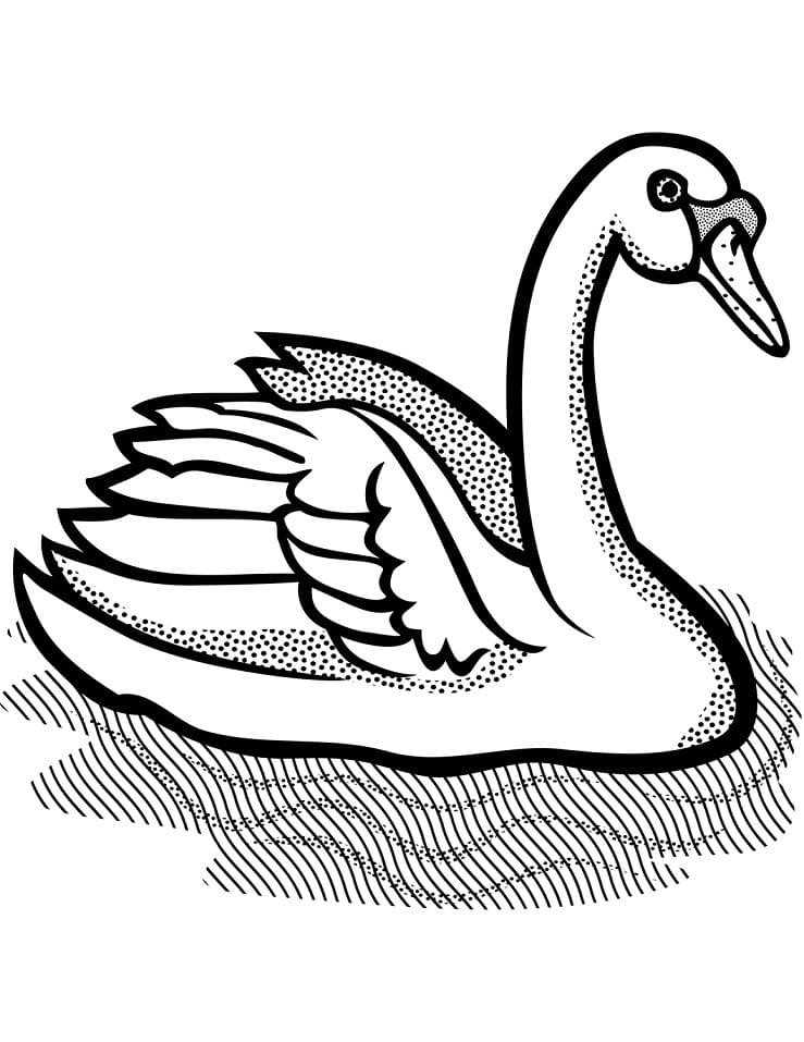 Раскраска Лебедь 2