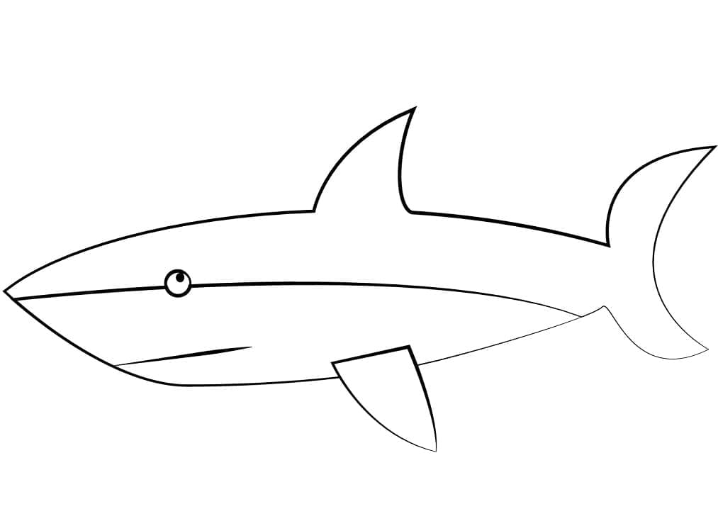 Раскраска Легкая Акула 1