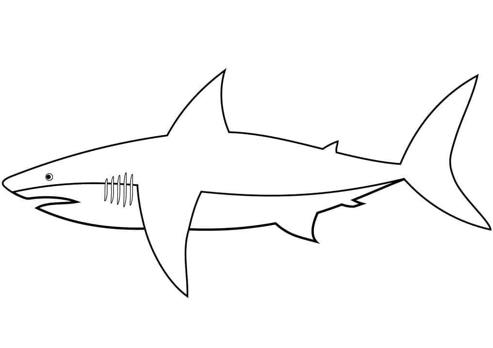 Раскраска Легкая Акула 5