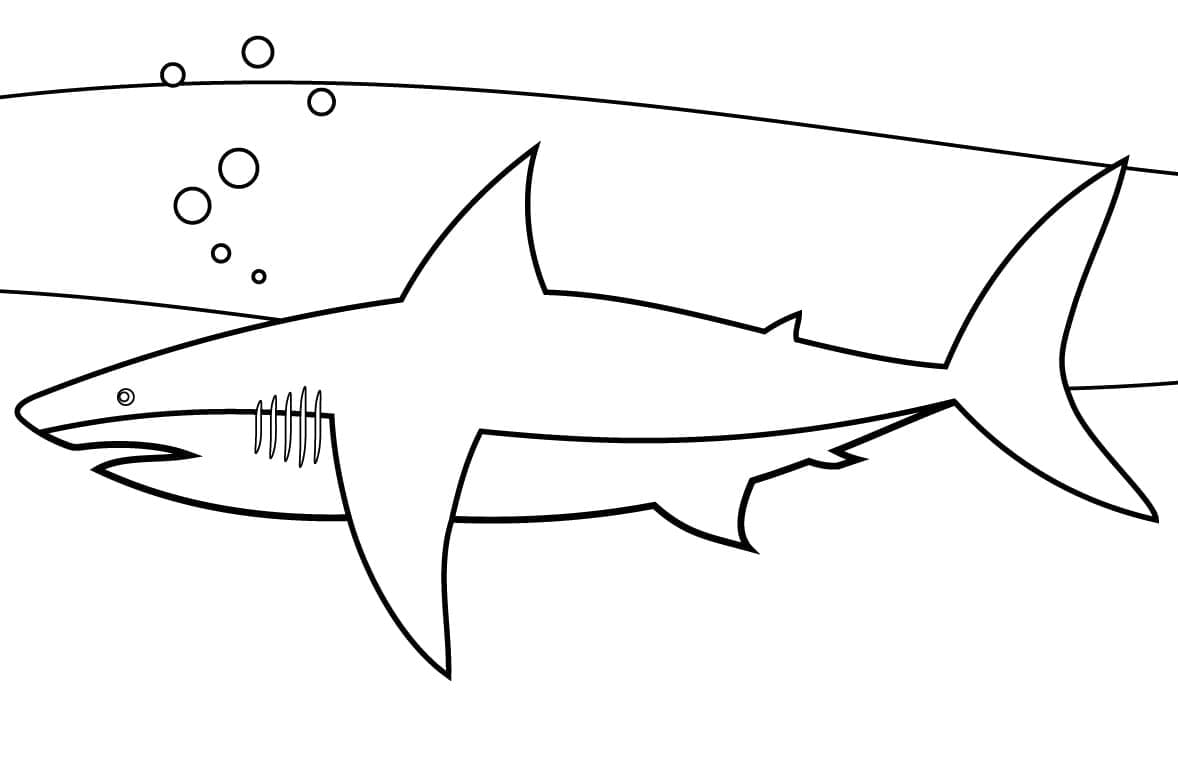 Раскраска Легкая Акула 6